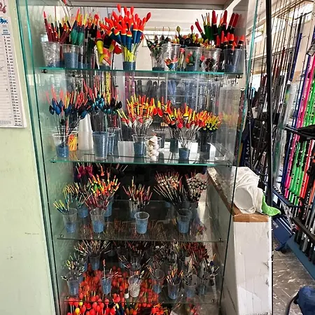 住宿加早餐酒店 D Annunzio House 马帝斯兹罗