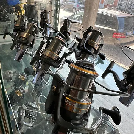 住宿加早餐酒店 D Annunzio House 3*