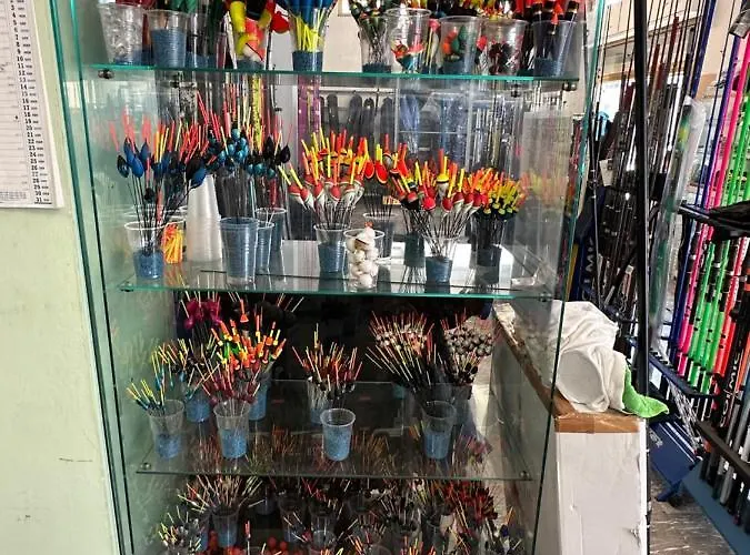 فندق مبيت وإفطار D Annunzio House مارتينسيكورو