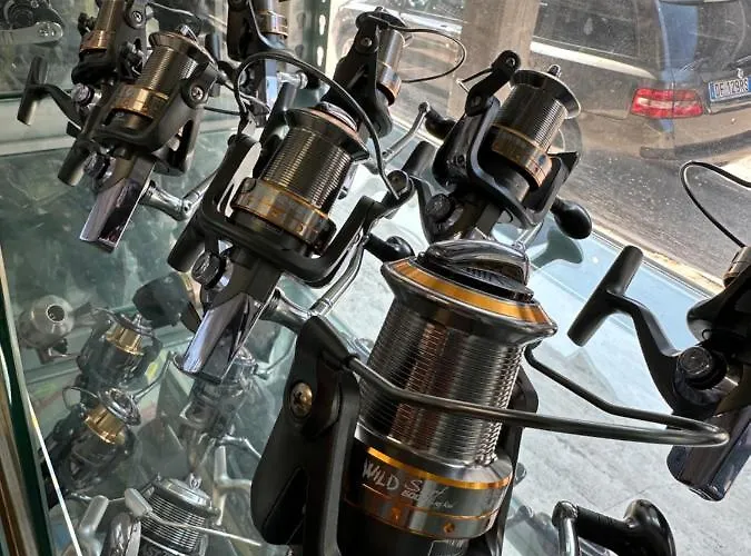 فندق مبيت وإفطار D Annunzio House 3*